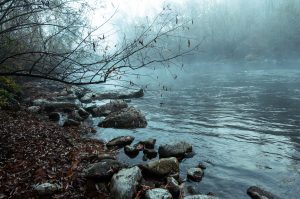 Come le fotografie catturano la memoria