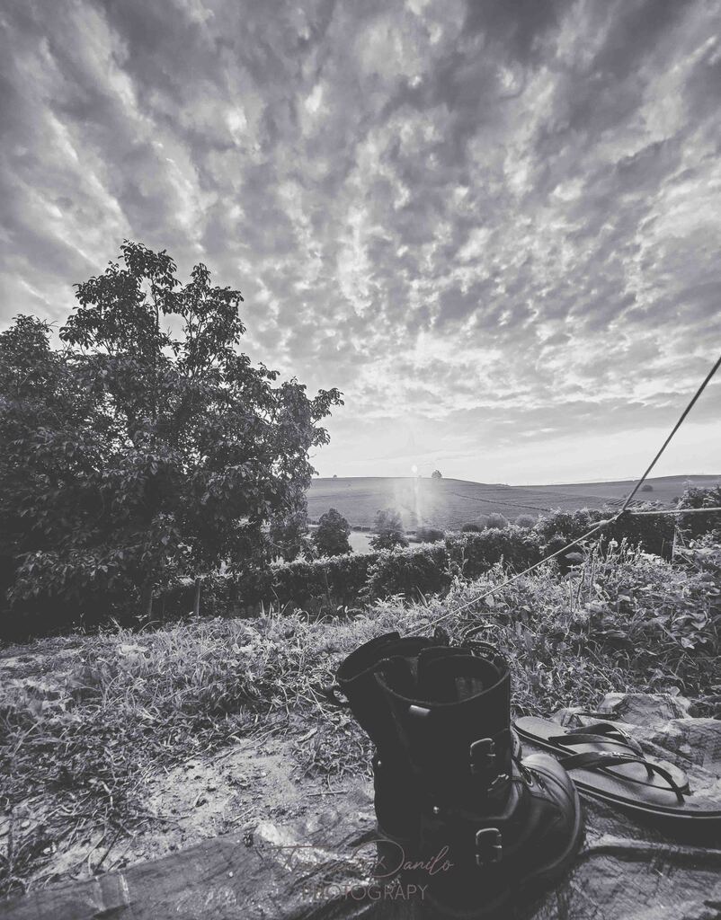 la magia della fotografia in bianco e nero