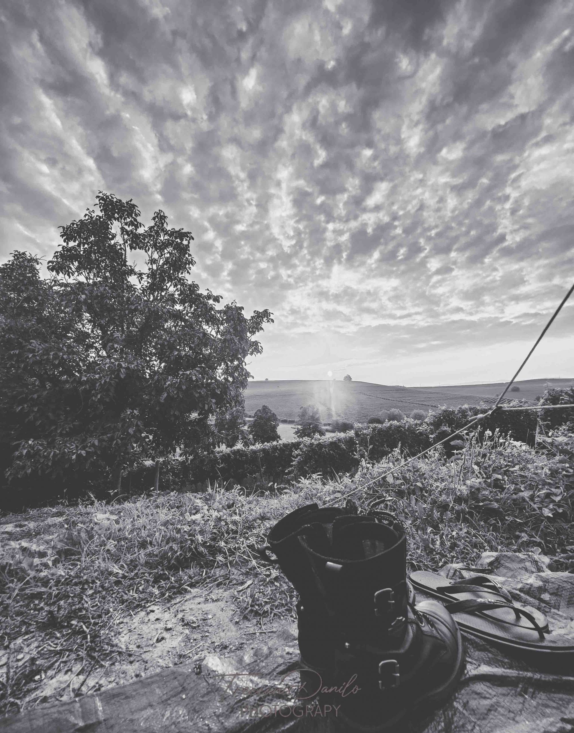 La magia della fotografia in bianco e nero